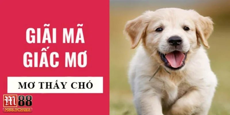 Chó trong giấc mơ cũng có thể ám chỉ đồng nghiệp đáng tin