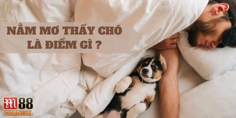 Giải mã các tình huống mơ thấy chó phổ biến