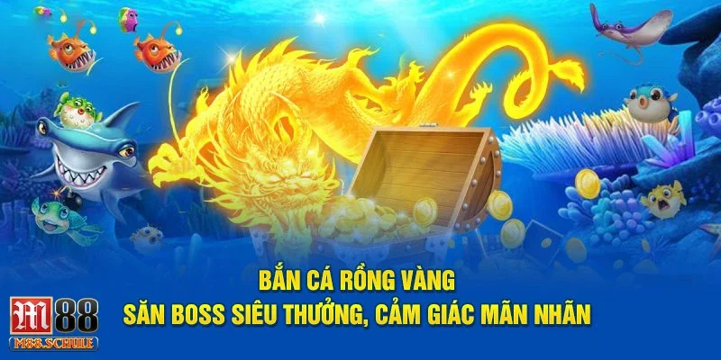 Lên kế hoạch từ đầu để không rơi vào thế bị động