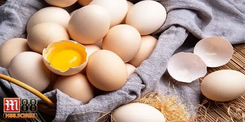 Liệu rằng mơ thấy trứng gà có là điềm báo xấu?