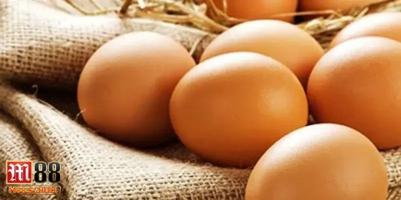 Mơ thấy quả trứng gà vỡ