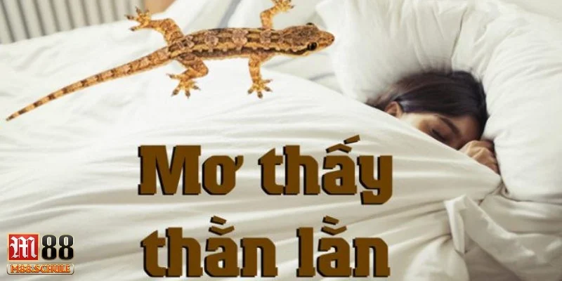Nằm mơ thấy thằn lằn bò vào nhà mình