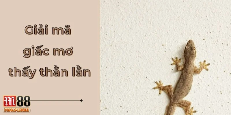Phân tích chi tiết các tình huống nằm mơ thấy thằn lằn