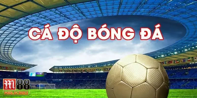 Tại sao cần nhận định bóng đá keonhacai trước khi cược