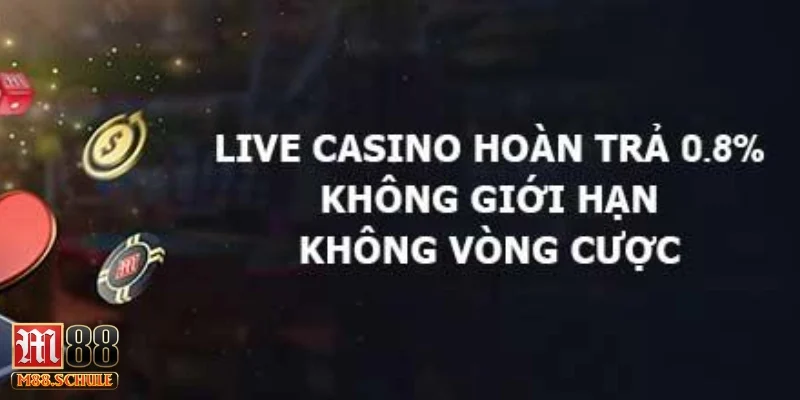 Thưởng VIP – Phần thưởng xứng đáng cho ai trung thành