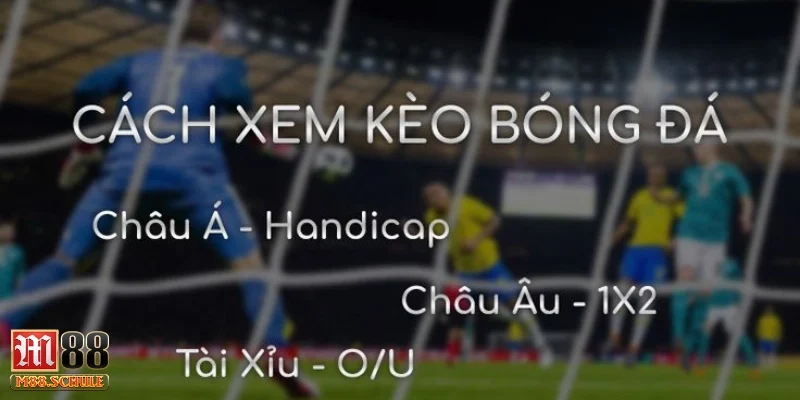 Vì sao việc hiểu cách tính kèo bóng đá lại cần phổ biến