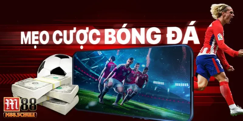Yếu tố tác động quá trình nhận định bóng đá kèo nhà cái